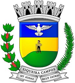 SiqueiraCampos Brasao